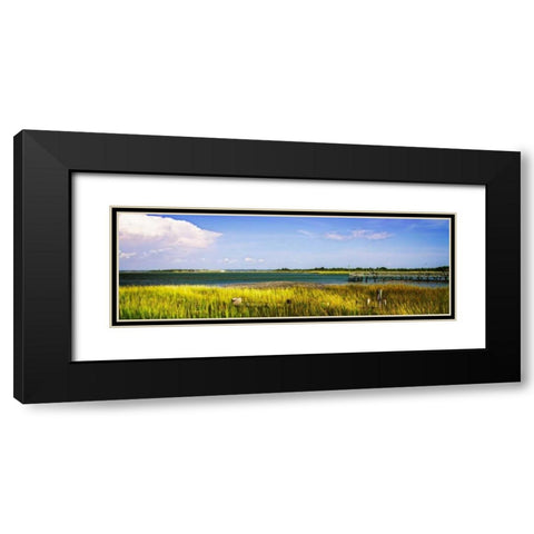 Newport River II Black Modern Wood Framed Art Print with Double Matting by Hausenflock, Alan