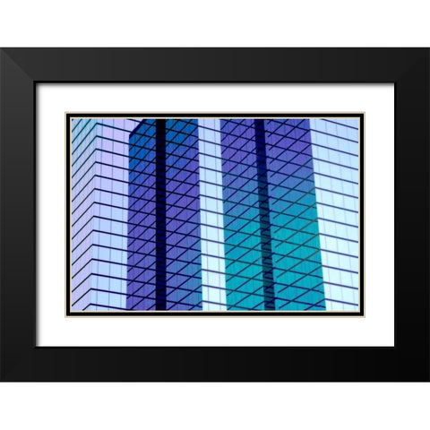 Glass and Steel II Black Modern Wood Framed Art Print with Double Matting by Hausenflock, Alan