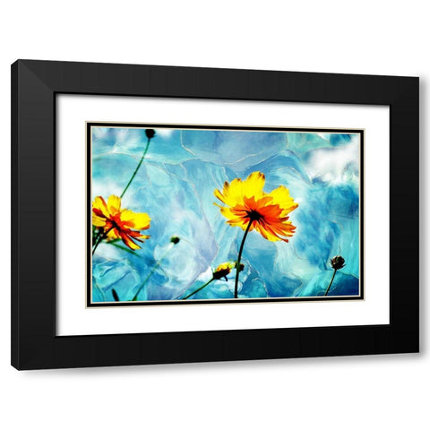 Reaching for the Sun III Black Modern Wood Framed Art Print with Double Matting by Hausenflock, Alan