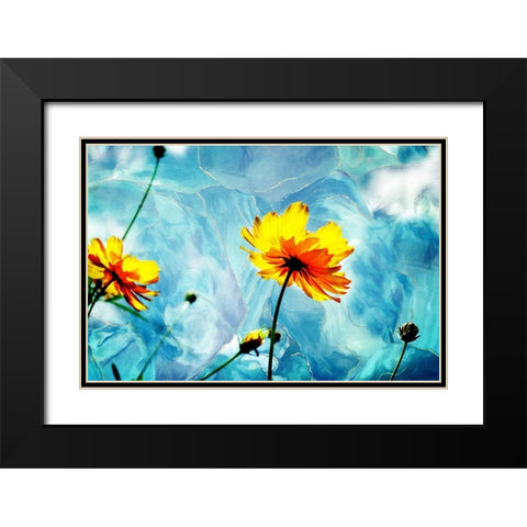 Reaching for the Sun III Black Modern Wood Framed Art Print with Double Matting by Hausenflock, Alan