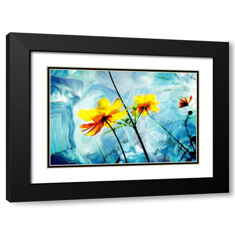 Reaching for the Sun IV Black Modern Wood Framed Art Print with Double Matting by Hausenflock, Alan