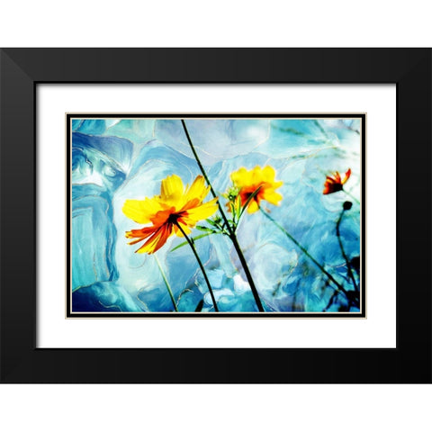 Reaching for the Sun IV Black Modern Wood Framed Art Print with Double Matting by Hausenflock, Alan