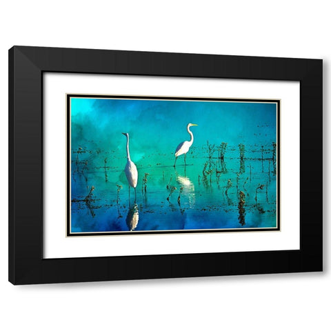 Wading Herons I Black Modern Wood Framed Art Print with Double Matting by Hausenflock, Alan