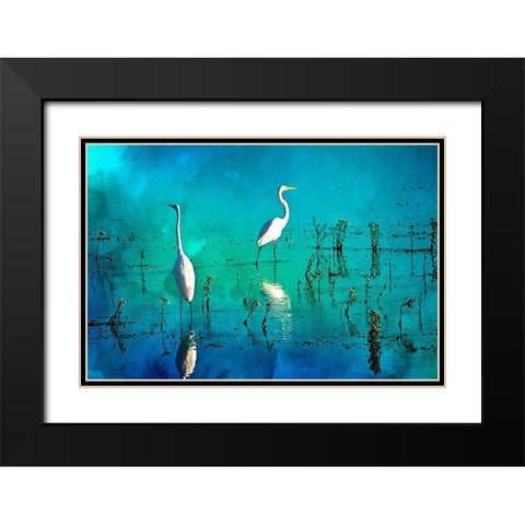 Wading Herons I Black Modern Wood Framed Art Print with Double Matting by Hausenflock, Alan