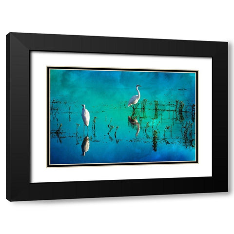 Wading Herons II Black Modern Wood Framed Art Print with Double Matting by Hausenflock, Alan