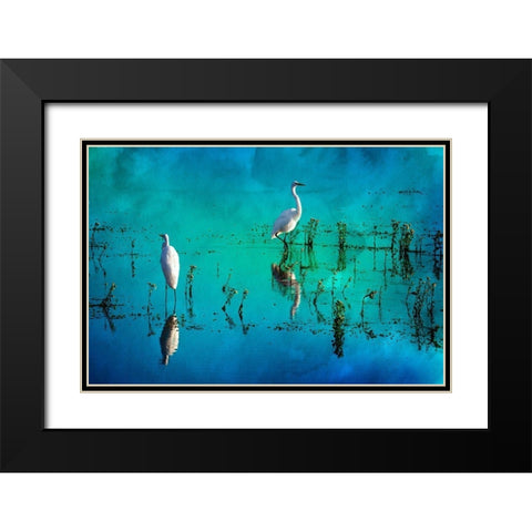 Wading Herons II Black Modern Wood Framed Art Print with Double Matting by Hausenflock, Alan