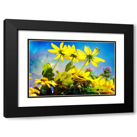 Flowers on Watercolor I Black Modern Wood Framed Art Print with Double Matting by Hausenflock, Alan