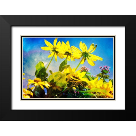 Flowers on Watercolor I Black Modern Wood Framed Art Print with Double Matting by Hausenflock, Alan