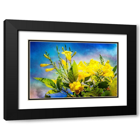 Flowers on Watercolor II Black Modern Wood Framed Art Print with Double Matting by Hausenflock, Alan