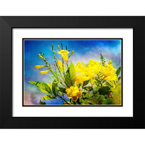 Flowers on Watercolor II Black Modern Wood Framed Art Print with Double Matting by Hausenflock, Alan