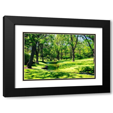 Gentle Stream I Black Modern Wood Framed Art Print with Double Matting by Hausenflock, Alan