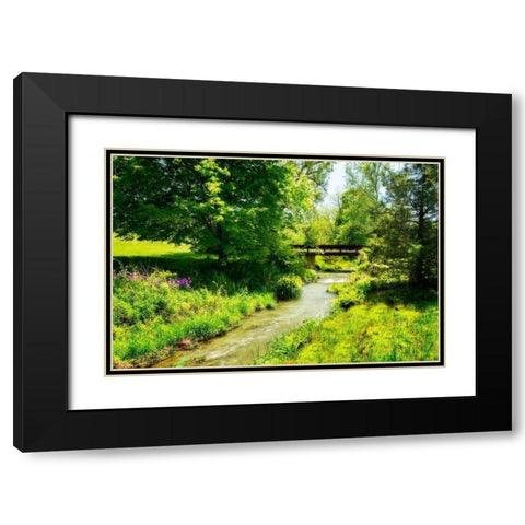 Gentle Stream IV Black Modern Wood Framed Art Print with Double Matting by Hausenflock, Alan