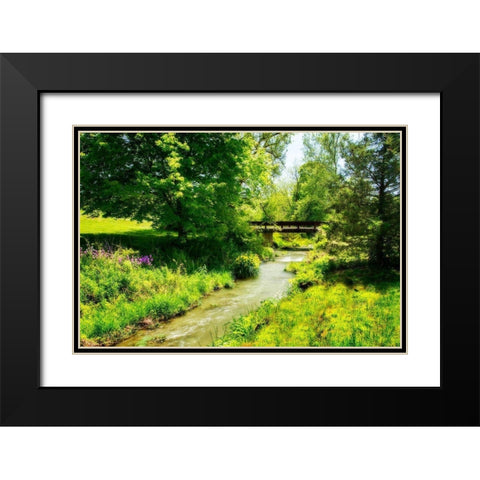 Gentle Stream IV Black Modern Wood Framed Art Print with Double Matting by Hausenflock, Alan