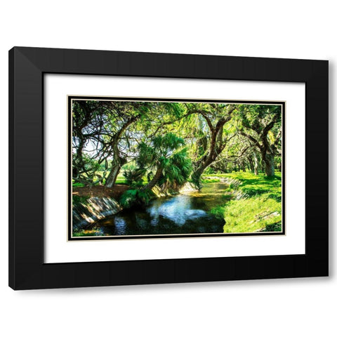 Saint Simons Waterway Black Modern Wood Framed Art Print with Double Matting by Hausenflock, Alan