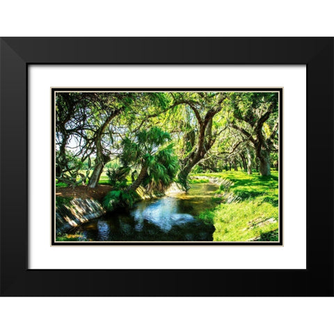 Saint Simons Waterway Black Modern Wood Framed Art Print with Double Matting by Hausenflock, Alan