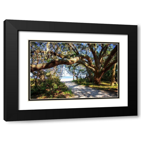 To the Beach Black Modern Wood Framed Art Print with Double Matting by Hausenflock, Alan