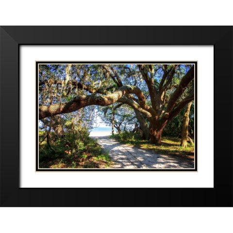 To the Beach Black Modern Wood Framed Art Print with Double Matting by Hausenflock, Alan