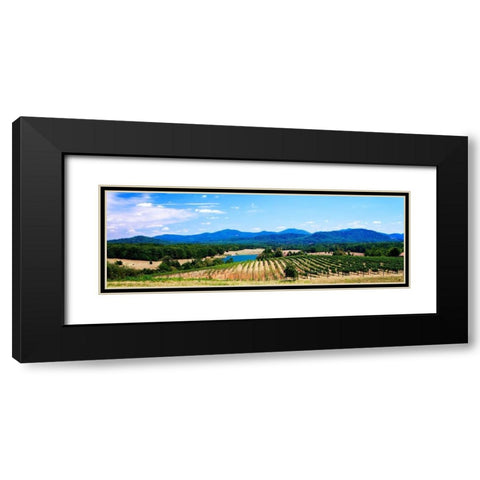 Virginia Vineyards I Black Modern Wood Framed Art Print with Double Matting by Hausenflock, Alan