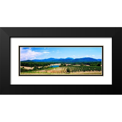 Virginia Vineyards I Black Modern Wood Framed Art Print with Double Matting by Hausenflock, Alan