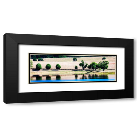 Virginia Vineyards II Black Modern Wood Framed Art Print with Double Matting by Hausenflock, Alan