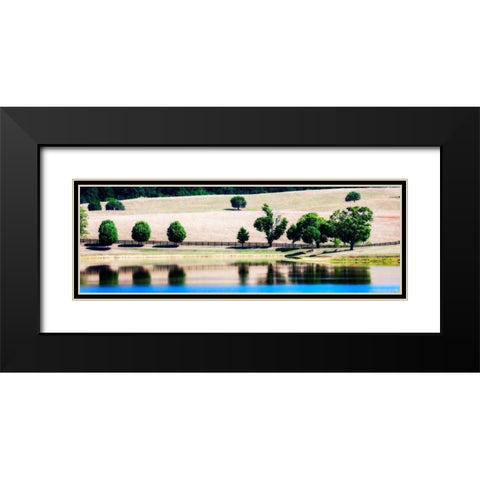 Virginia Vineyards II Black Modern Wood Framed Art Print with Double Matting by Hausenflock, Alan