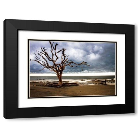 Storm is Coming I Black Modern Wood Framed Art Print with Double Matting by Hausenflock, Alan