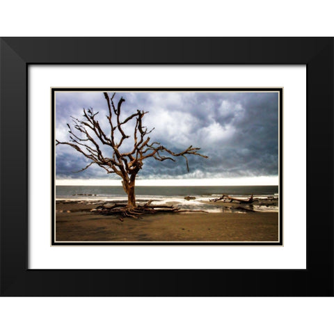 Storm is Coming I Black Modern Wood Framed Art Print with Double Matting by Hausenflock, Alan