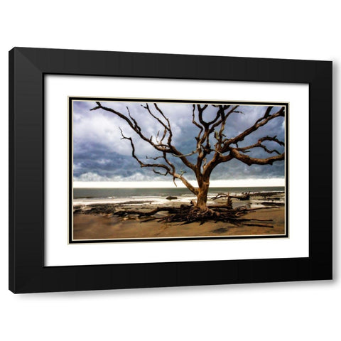 Storm is Coming II Black Modern Wood Framed Art Print with Double Matting by Hausenflock, Alan