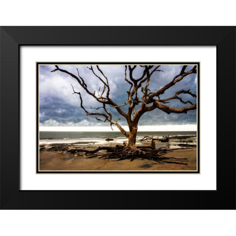 Storm is Coming II Black Modern Wood Framed Art Print with Double Matting by Hausenflock, Alan