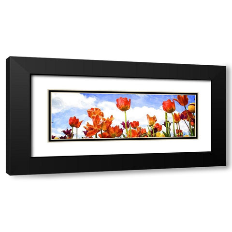 Tulips in the Sun I Black Modern Wood Framed Art Print with Double Matting by Hausenflock, Alan