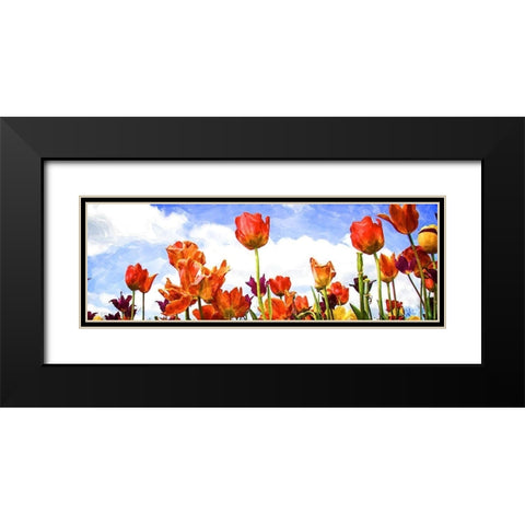 Tulips in the Sun I Black Modern Wood Framed Art Print with Double Matting by Hausenflock, Alan