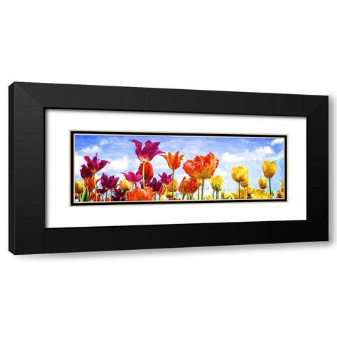 Tulips in the Sun II Black Modern Wood Framed Art Print with Double Matting by Hausenflock, Alan