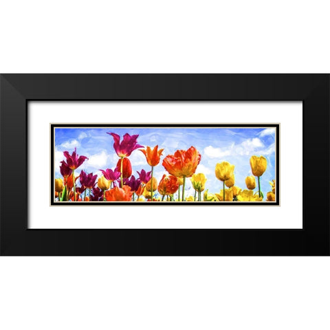 Tulips in the Sun II Black Modern Wood Framed Art Print with Double Matting by Hausenflock, Alan