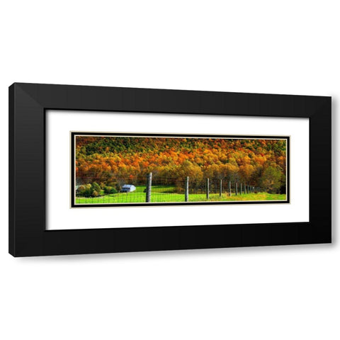 Autumn Splendor I Black Modern Wood Framed Art Print with Double Matting by Hausenflock, Alan