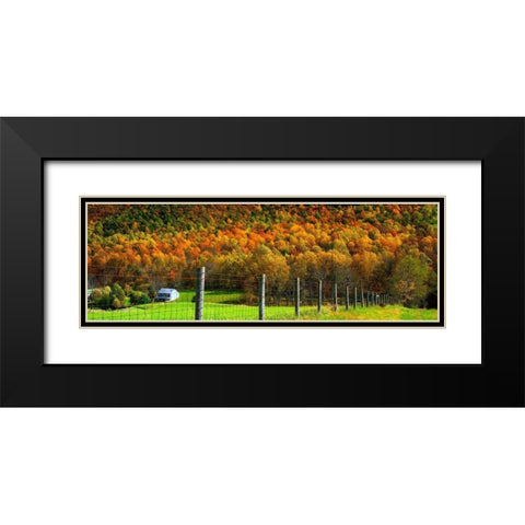 Autumn Splendor I Black Modern Wood Framed Art Print with Double Matting by Hausenflock, Alan