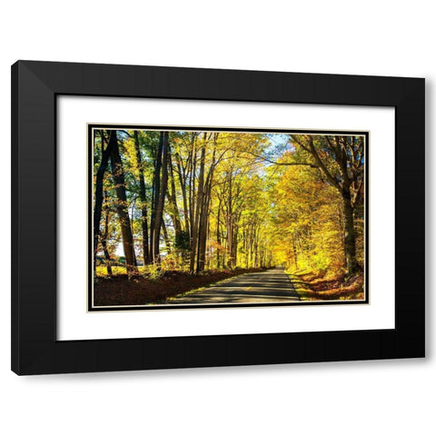 Trees of Gold and Green I Black Modern Wood Framed Art Print with Double Matting by Hausenflock, Alan