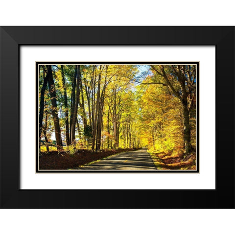 Trees of Gold and Green I Black Modern Wood Framed Art Print with Double Matting by Hausenflock, Alan