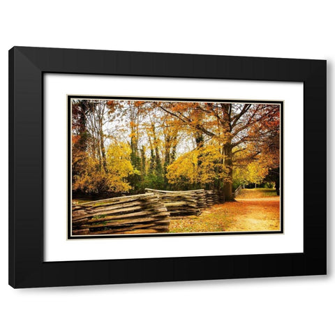 Late Fall Day I Black Modern Wood Framed Art Print with Double Matting by Hausenflock, Alan