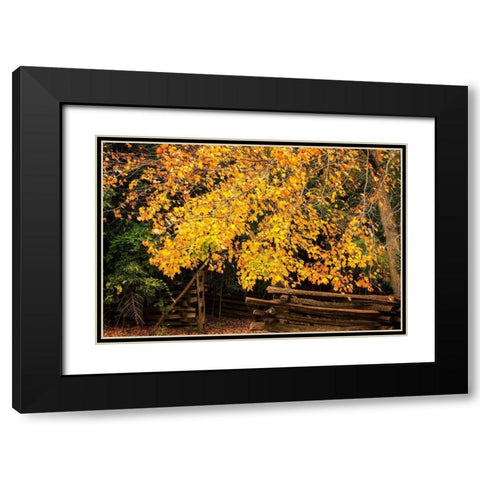 Late Fall Day II Black Modern Wood Framed Art Print with Double Matting by Hausenflock, Alan