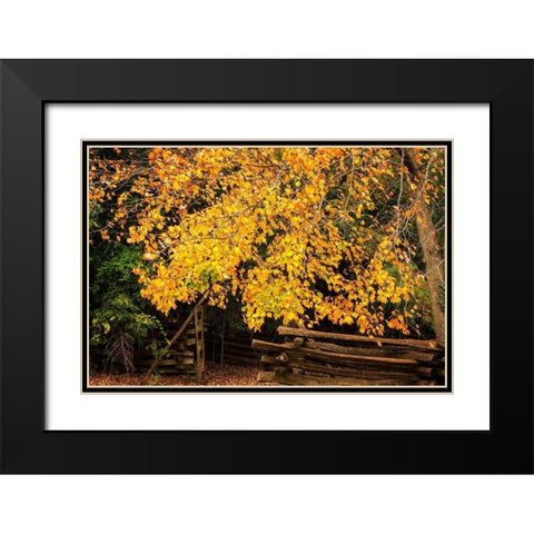 Late Fall Day II Black Modern Wood Framed Art Print with Double Matting by Hausenflock, Alan