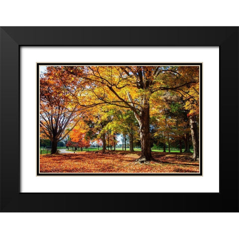 Autumn on the Plantation I Black Modern Wood Framed Art Print with Double Matting by Hausenflock, Alan