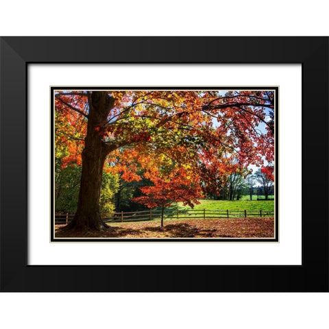 Autumn on the Plantation II Black Modern Wood Framed Art Print with Double Matting by Hausenflock, Alan