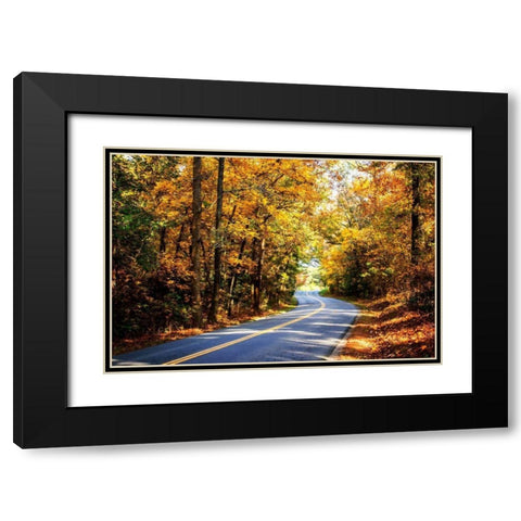 Walnut Grove Road I Black Modern Wood Framed Art Print with Double Matting by Hausenflock, Alan