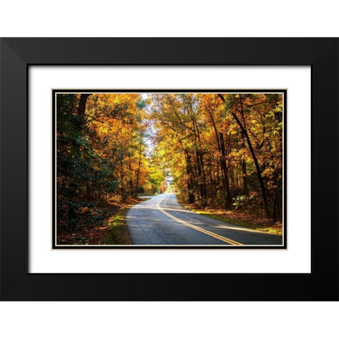 Walnut Grove Road II Black Modern Wood Framed Art Print with Double Matting by Hausenflock, Alan