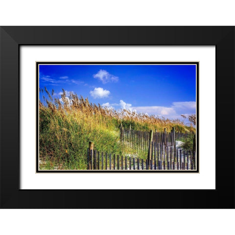 Summer at the Beach I Black Modern Wood Framed Art Print with Double Matting by Hausenflock, Alan
