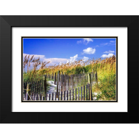 Summer at the Beach II Black Modern Wood Framed Art Print with Double Matting by Hausenflock, Alan