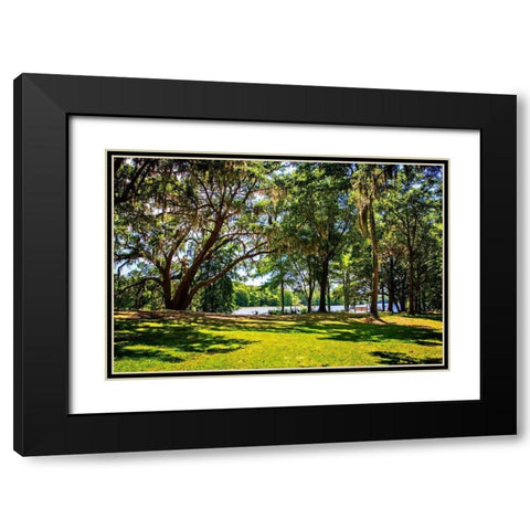 Beside the Ashley River Black Modern Wood Framed Art Print with Double Matting by Hausenflock, Alan