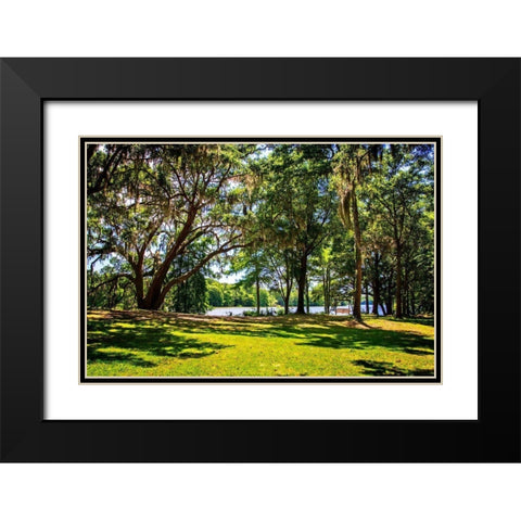 Beside the Ashley River Black Modern Wood Framed Art Print with Double Matting by Hausenflock, Alan