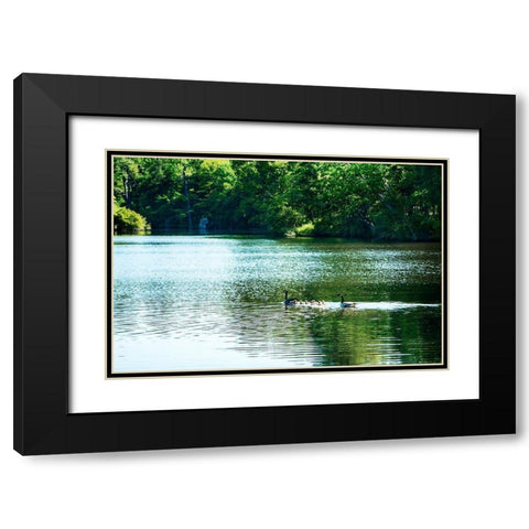 Walkerton Mill Pond Black Modern Wood Framed Art Print with Double Matting by Hausenflock, Alan