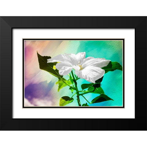 Summer Flower Black Modern Wood Framed Art Print with Double Matting by Hausenflock, Alan